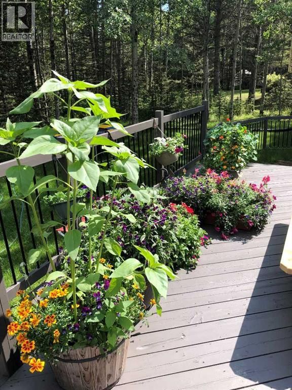 51 MANYHORSES DRIVE Image 11