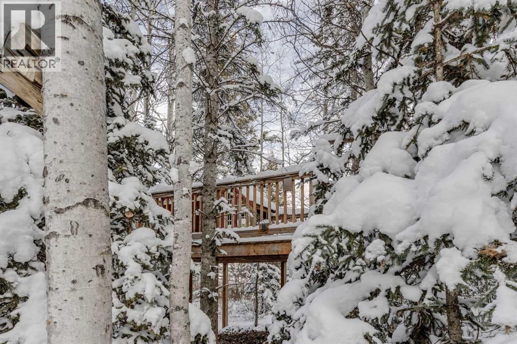 51 MANYHORSES DRIVE Image 42