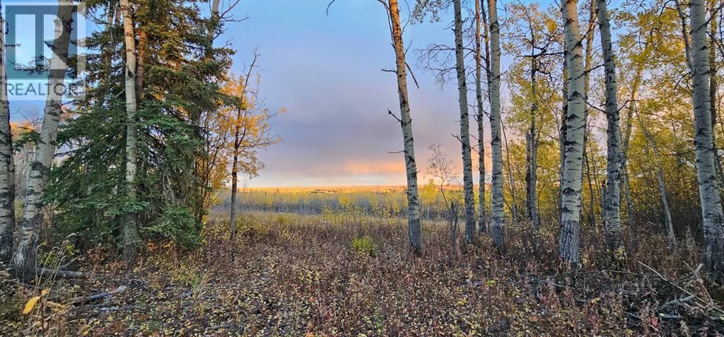 77996 92 Range Road, Rural Saddle Hills County, Alberta T0H 0G0