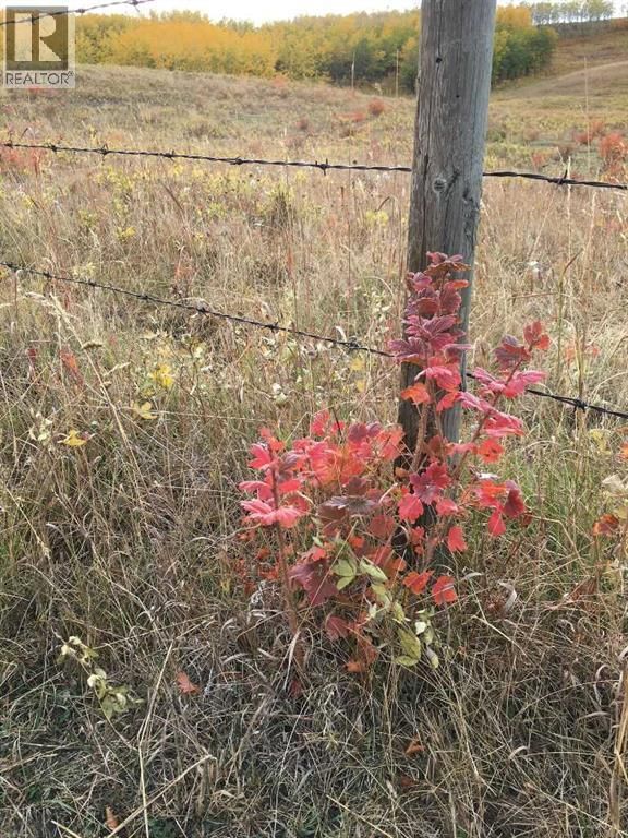  96 Street West, Rural Foothills County, Alberta T1S 3K4