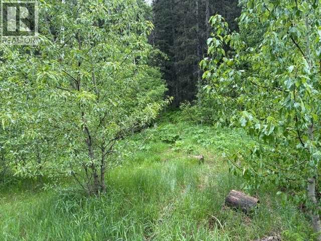229 Mountain Lion Drive, Bragg Creek, Alberta T0L 0K0