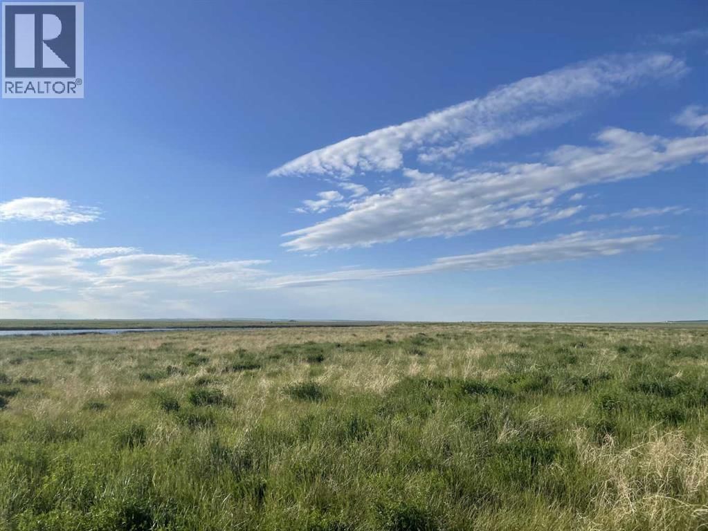 182 Township Rd 182, Brant, Alberta T0L 0L0