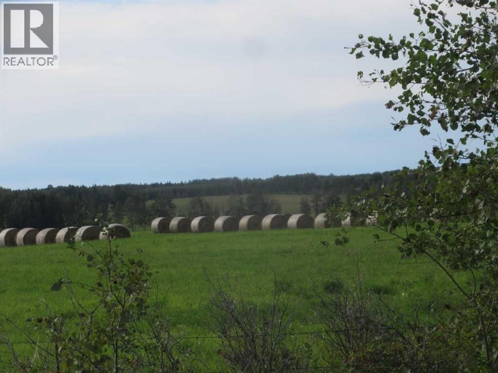 414012 Range Road 6-2, Rural Clearwater County, Alberta T4T 2A1