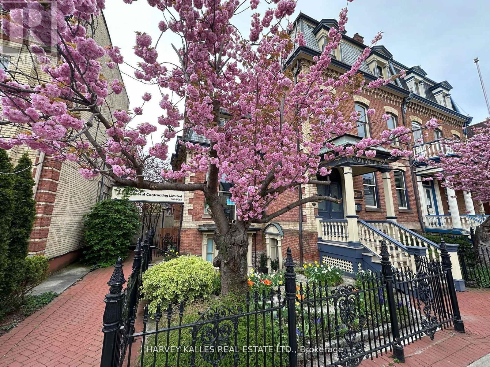 Lower - 211 CARLTON STREET Image 2