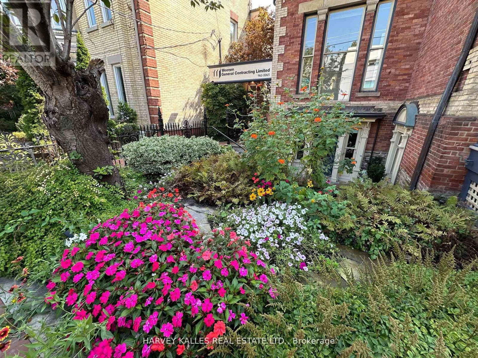 Lower - 211 CARLTON STREET Image 5