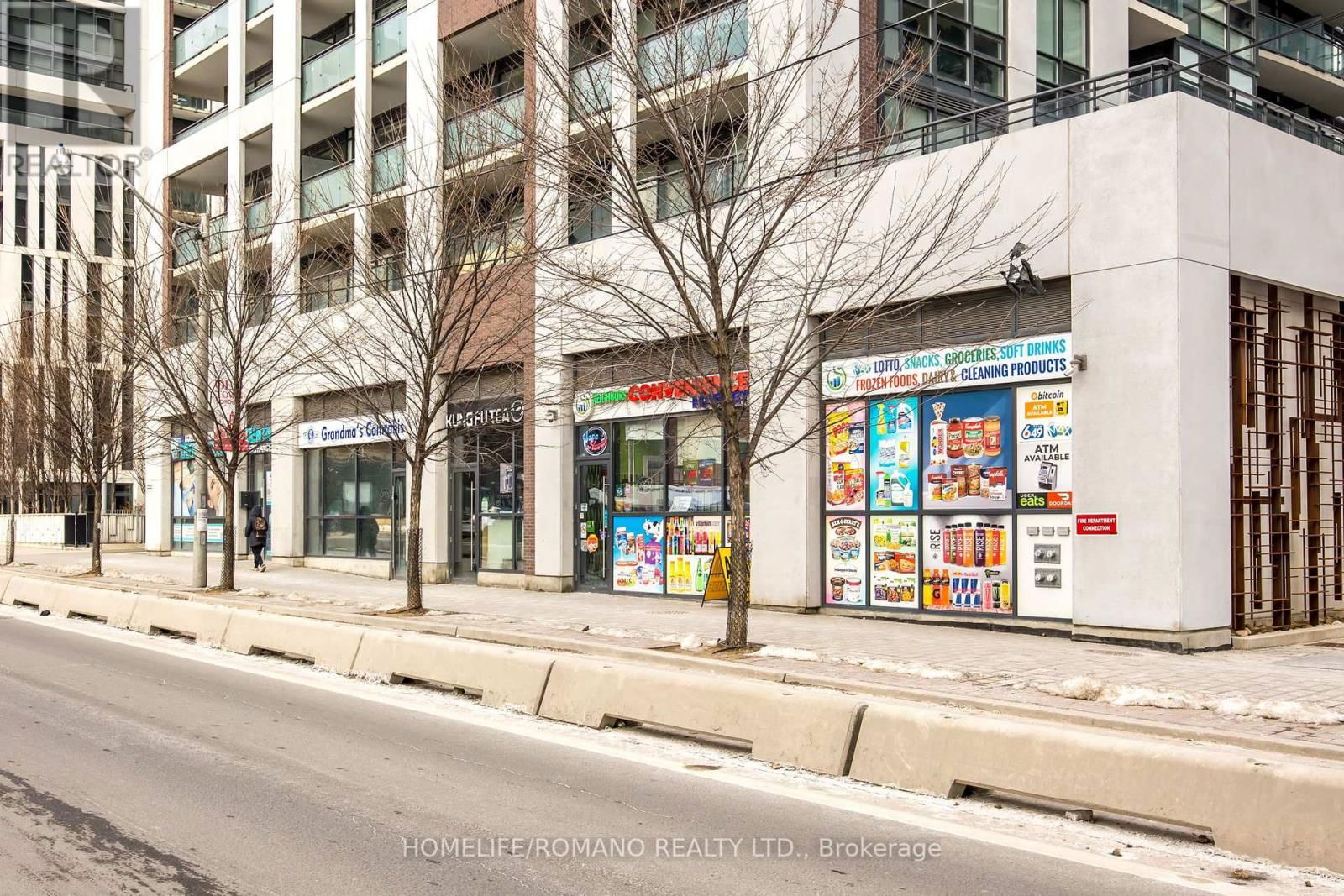 462 ADELAIDE STREET EAST Image 5
