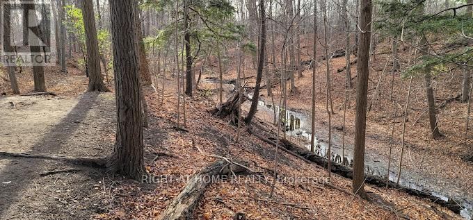 12 - 50 THREE VALLEYS DRIVE Image 21