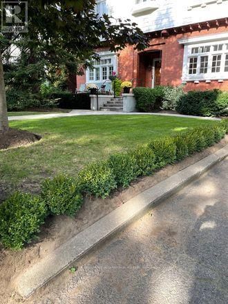347 WALMER ROAD Image 2
