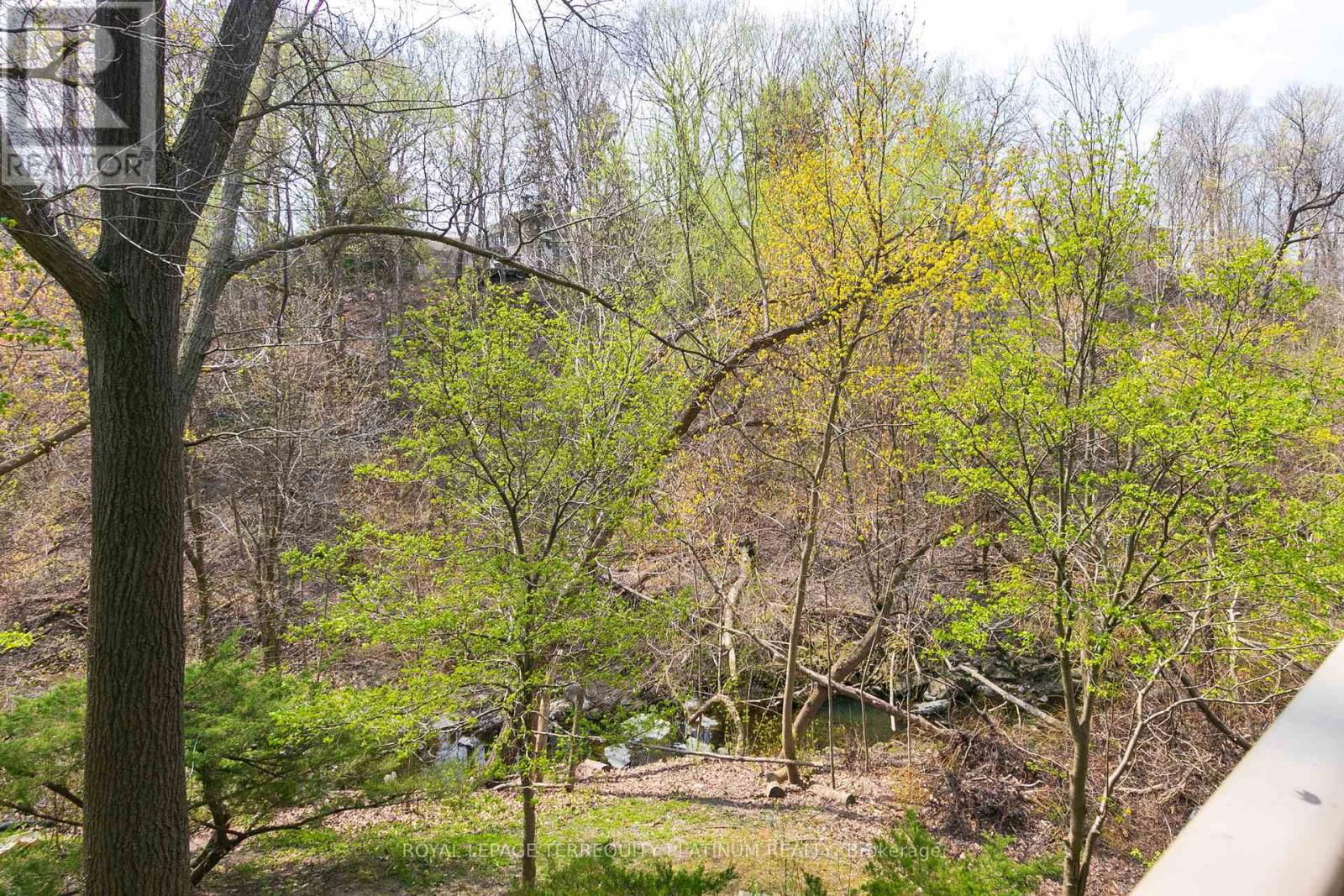 17 RAINBOW CREEKWAY Image 28