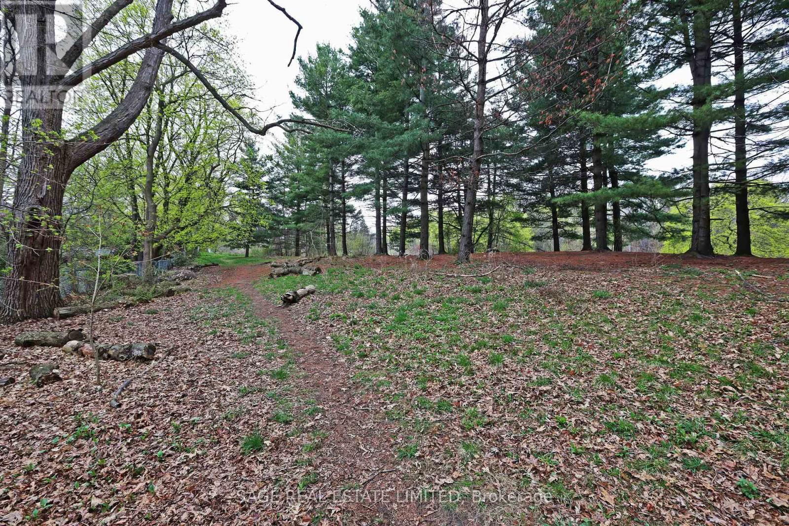 394 KEEWATIN AVENUE Image 36