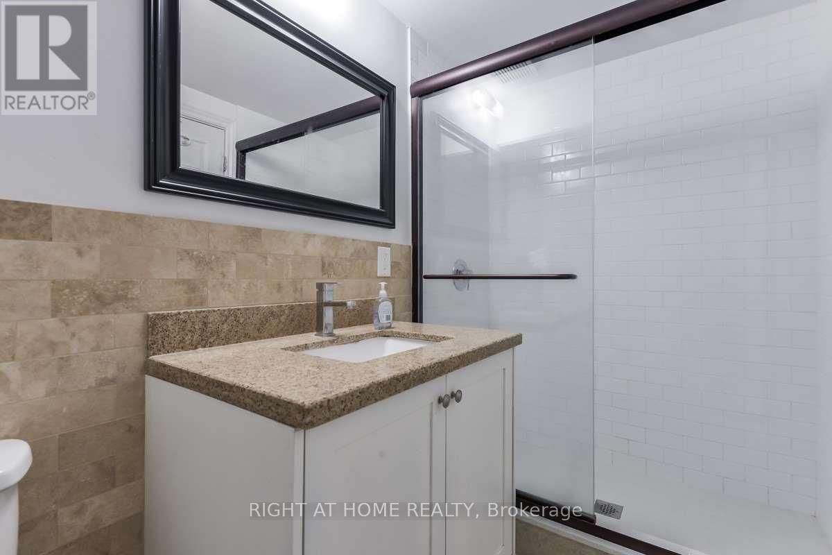 Lower - 87 FONTAINBLEAU DRIVE Image 13