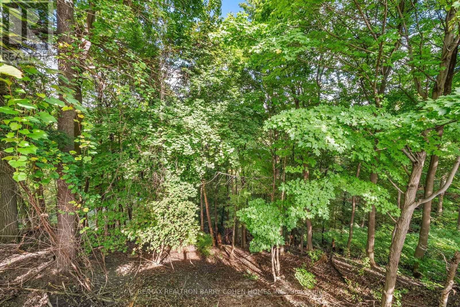 336 RIVERVIEW DRIVE Image 6
