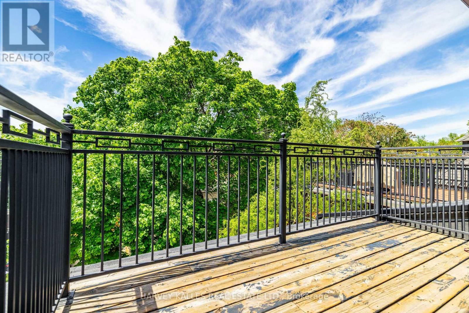 386 PALMERSTON BOULEVARD Image 31