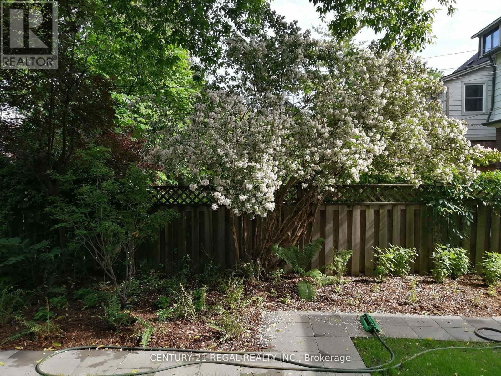 123 HAVELOCK STREET Image 30