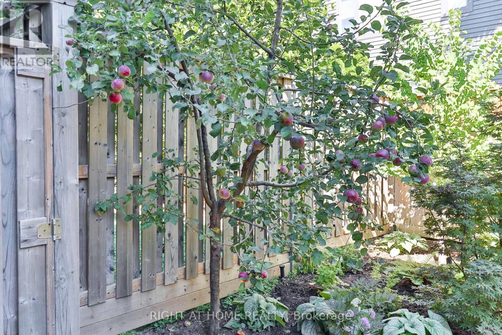 18 MITCHELL AVENUE Image 22