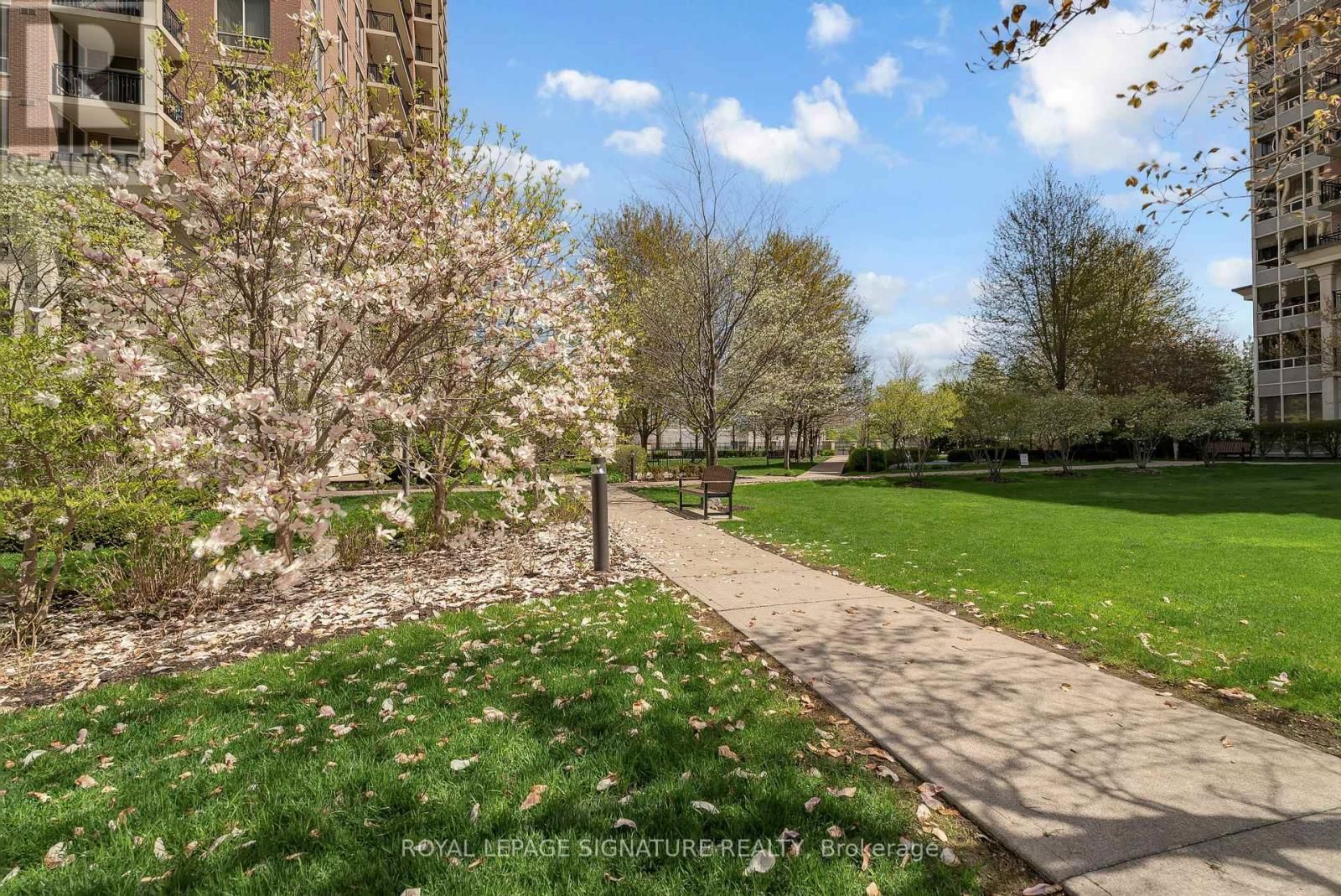 905 - 1101 LESLIE STREET Image 41