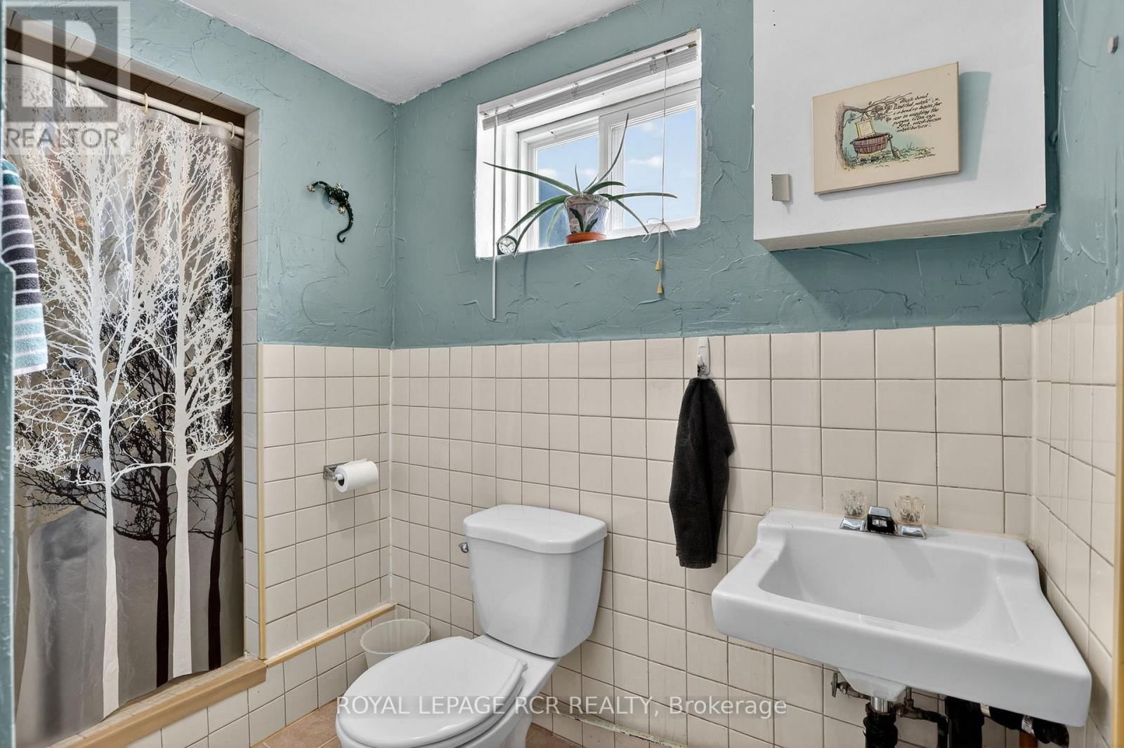 6 AILSA CRAIG COURT Image 41