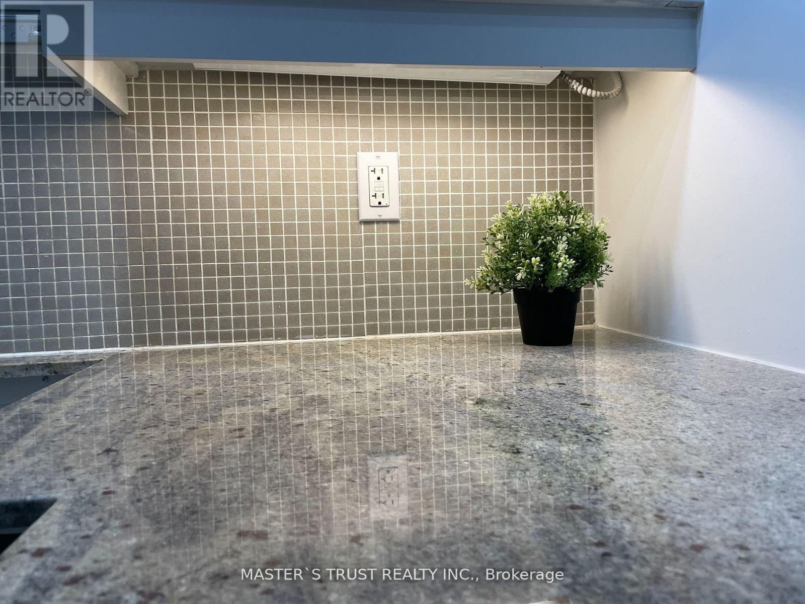 1008 - 65 EAST LIBERTY STREET Image 12