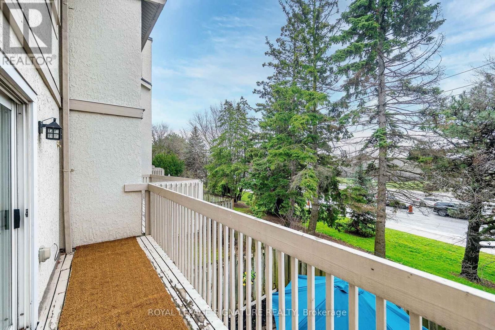 33 CHERYL SHEPWAY Image 16