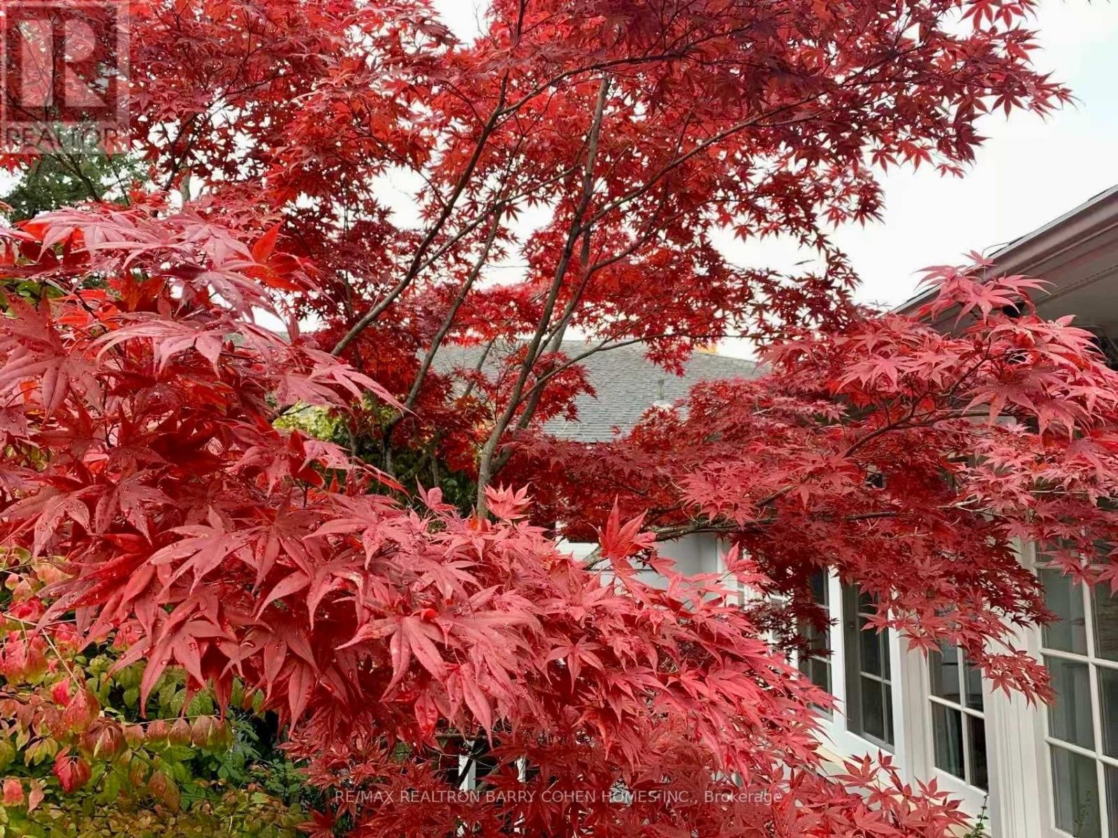 80 BAYVIEW RIDGE Image 2