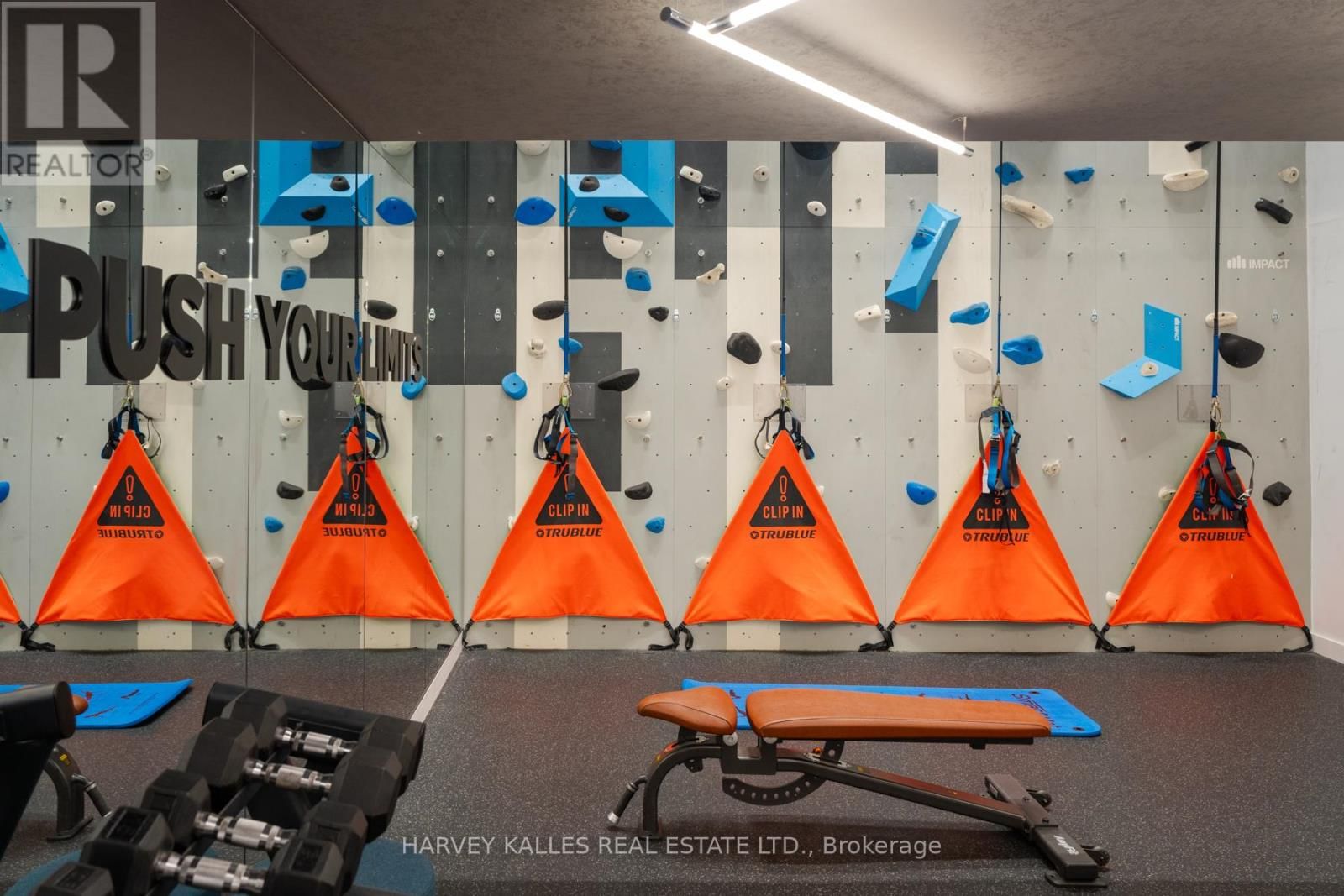 507 - 2 AUGUSTA AVENUE Image 39