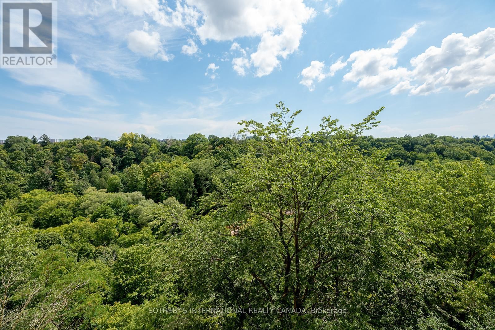 706 - 60 PAVANE LINK WAY Image 31