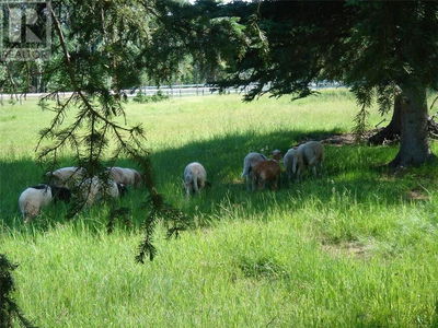Image #1 of Commercial for Sale at 215 Wintergreen Road, Rocky View, Alberta