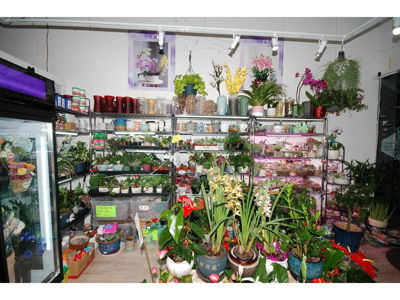 Businesses for Sale in Ontario