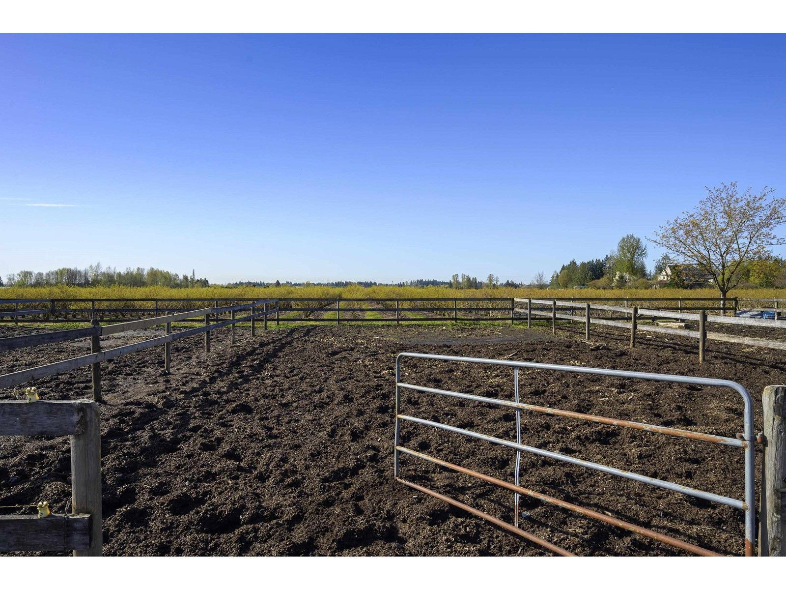 Businesses for Sale in British-columbia