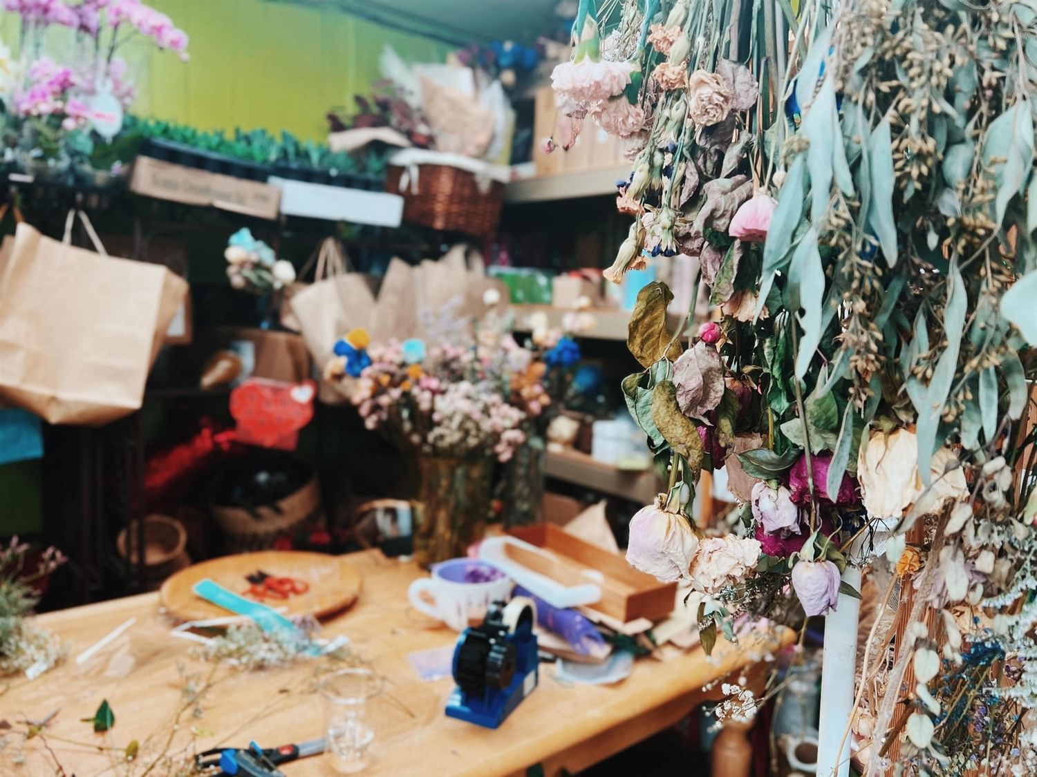Businesses for Sale in 