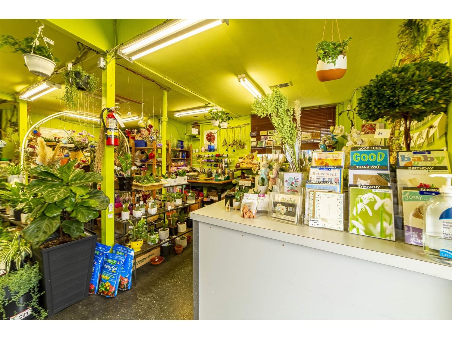 Businesses for Sale in 