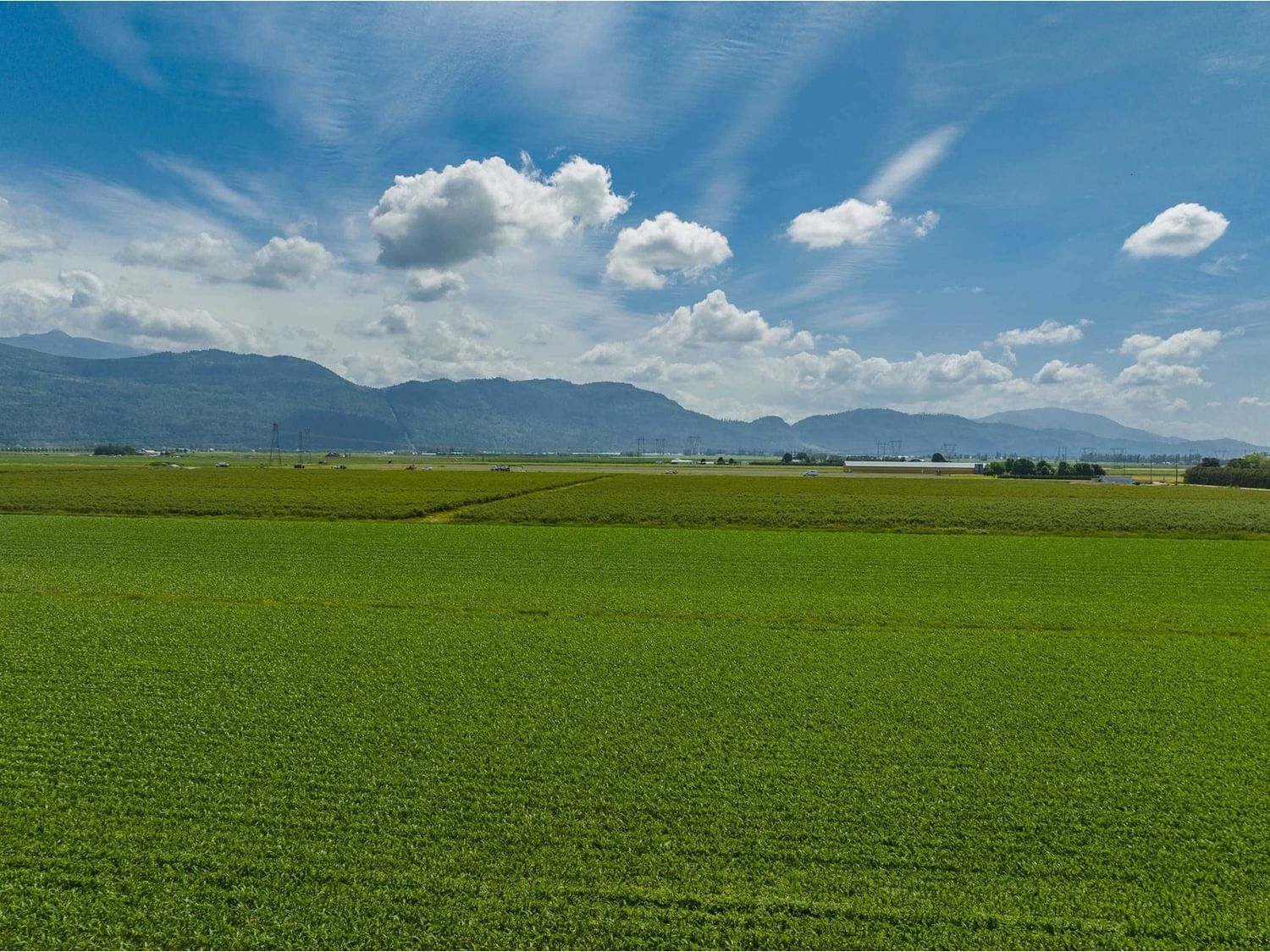 Businesses for Sale in British-columbia