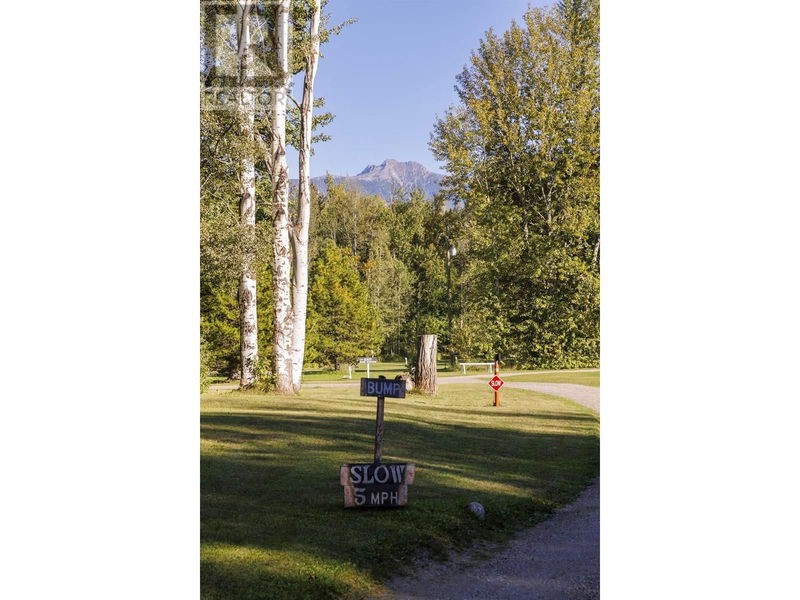 Image #1 of Business for Sale at 2435 E 16 Highway, Robson, British Columbia