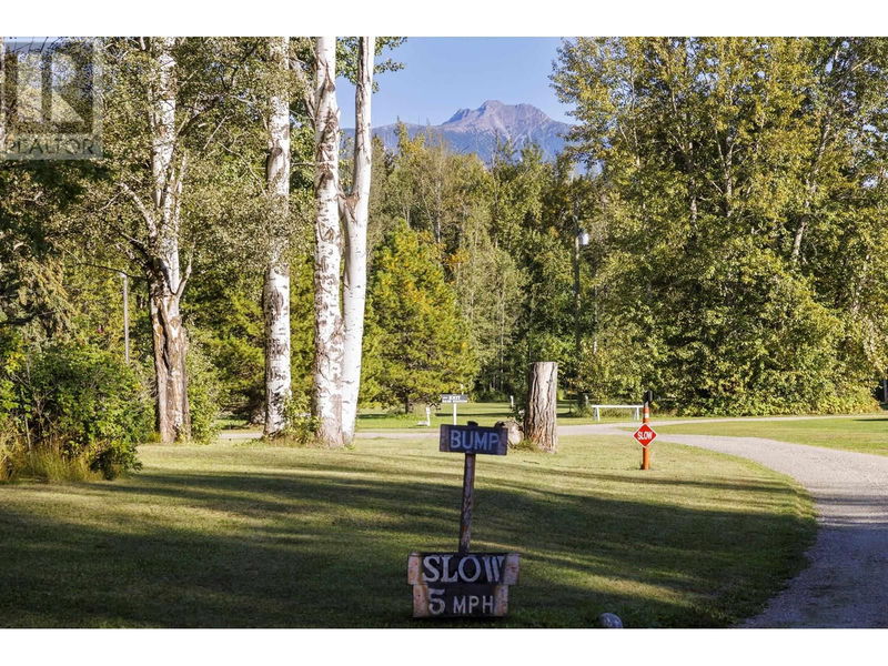 Image #1 of Business for Sale at 2435 E 16 Highway, Robson, British Columbia