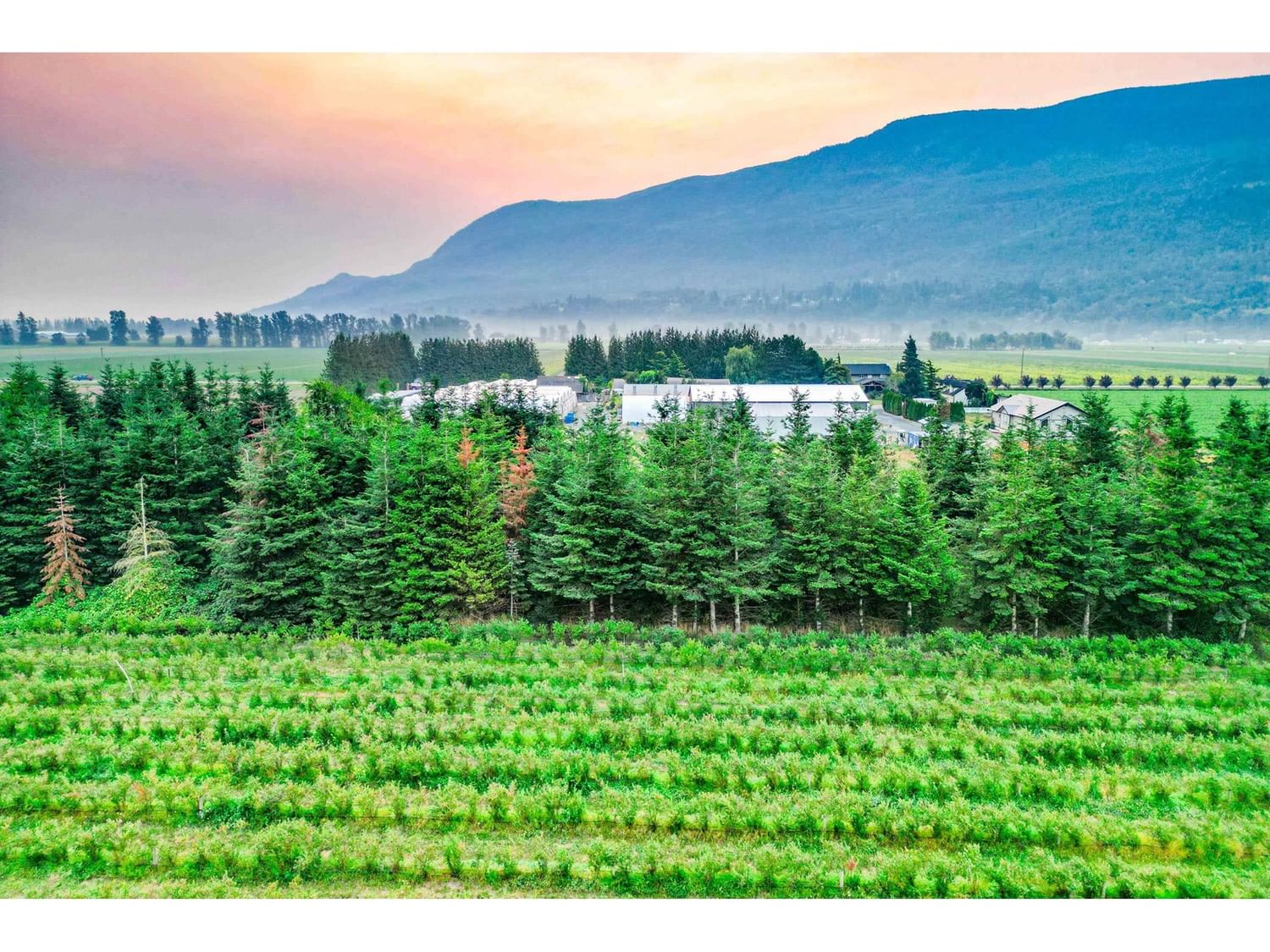 Businesses for Sale in British-columbia