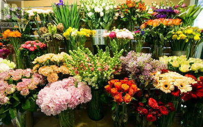 Flower Shops for Sale