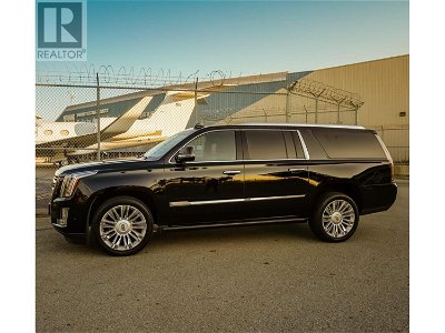 Limo Taxi Bus Businesses for Sale