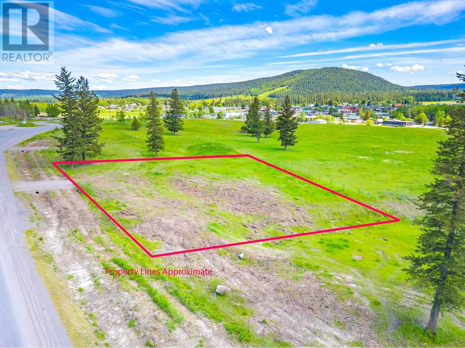 Primary Property View
