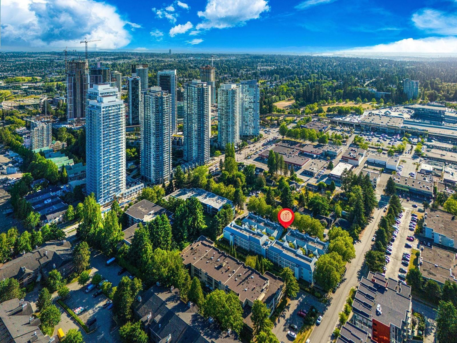 Primary Property View