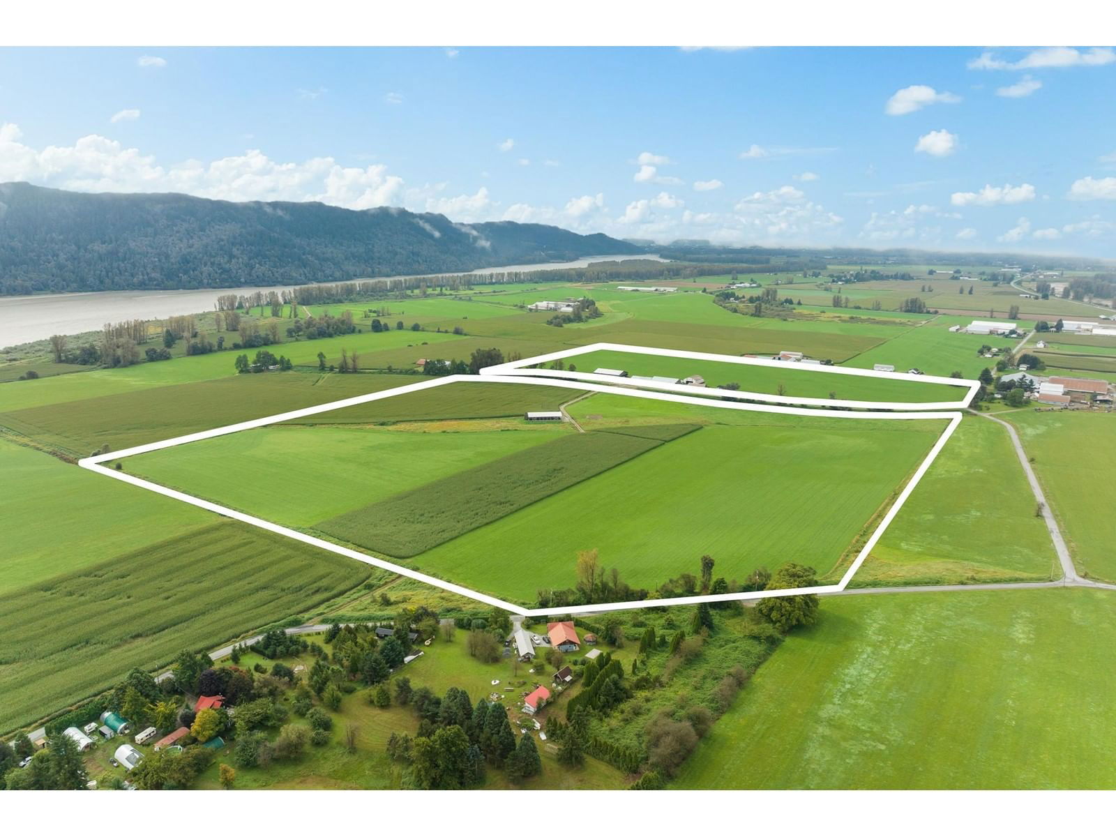 Primary Property View