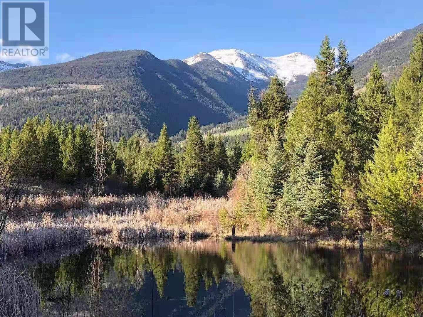 Primary Property View