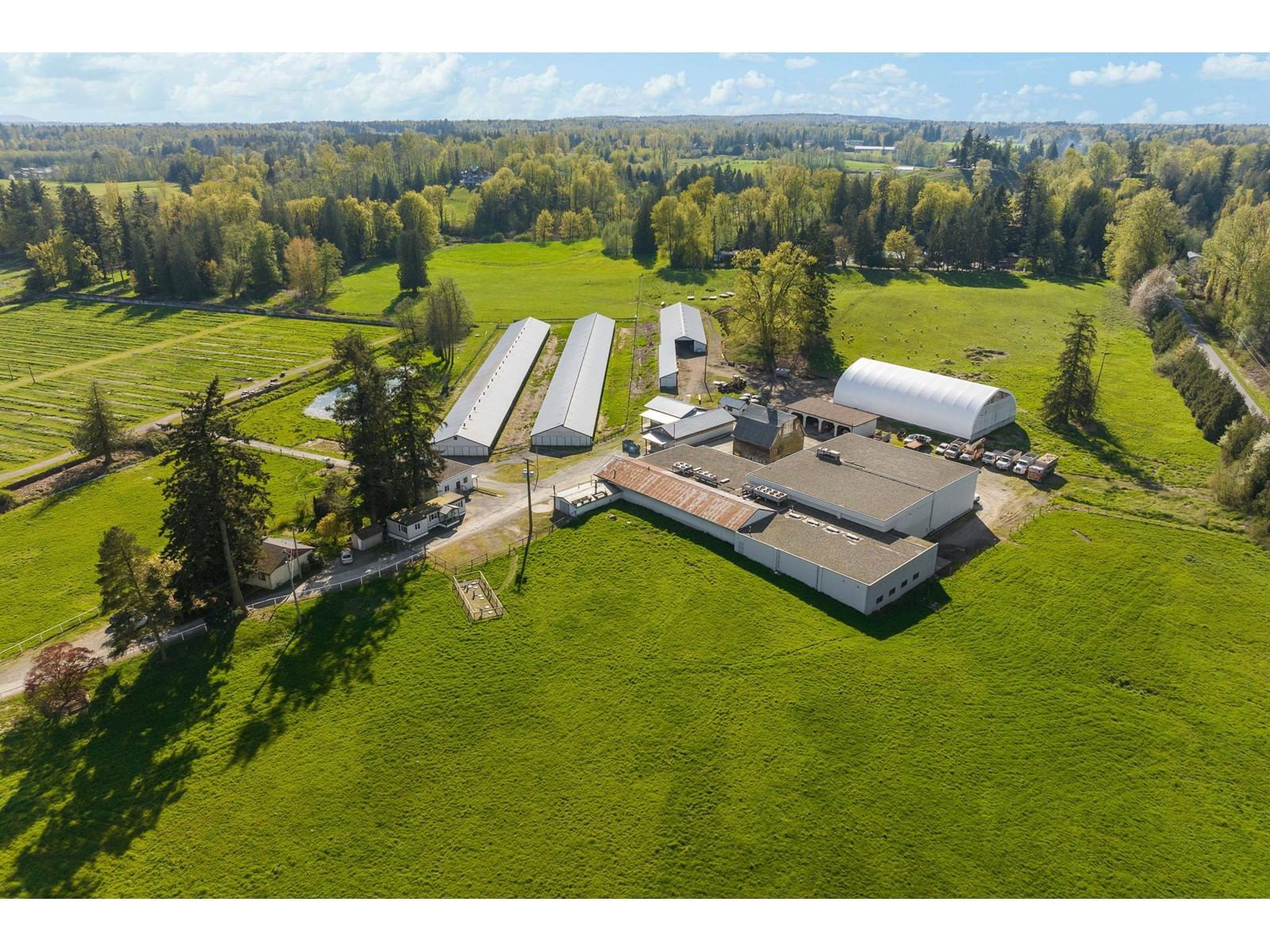 Primary Property View