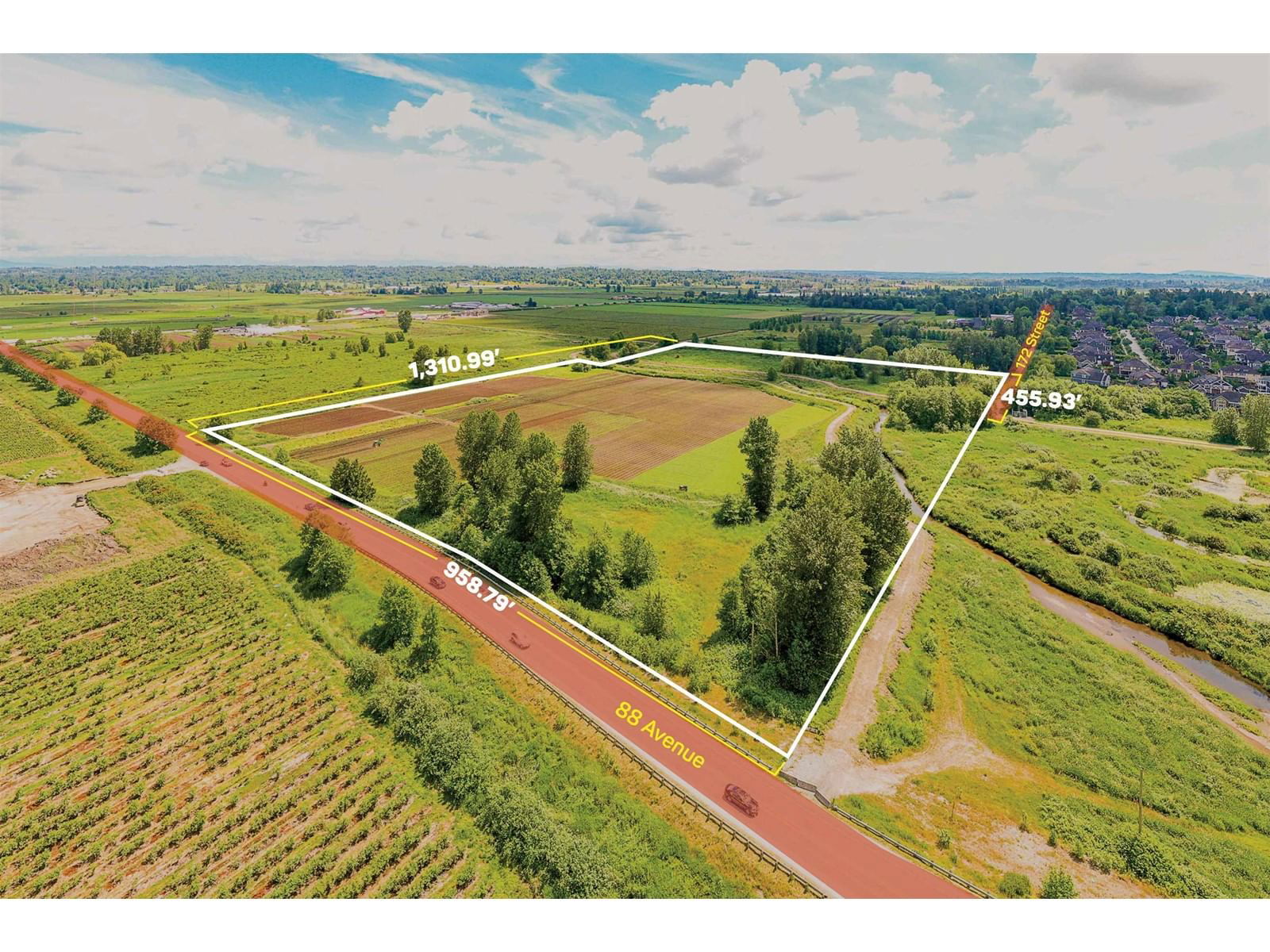 Primary Property View
