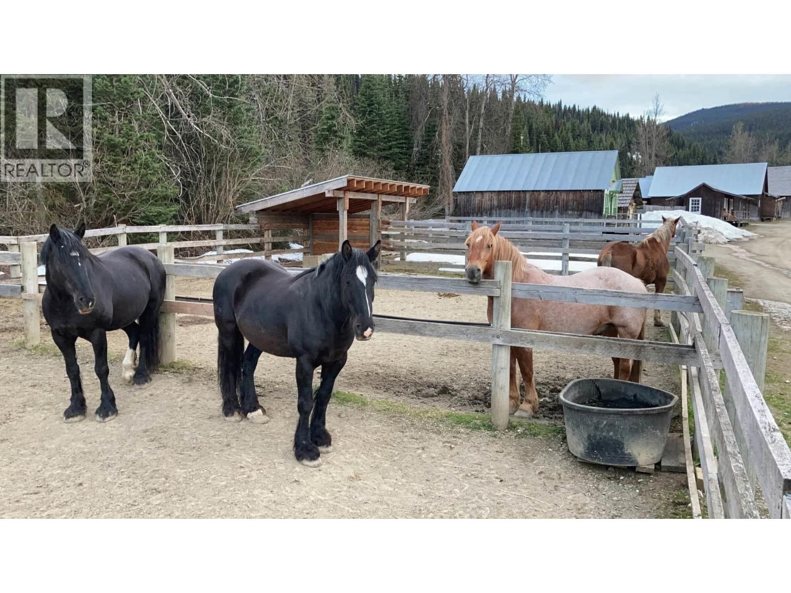 MAIN STREET Image 20