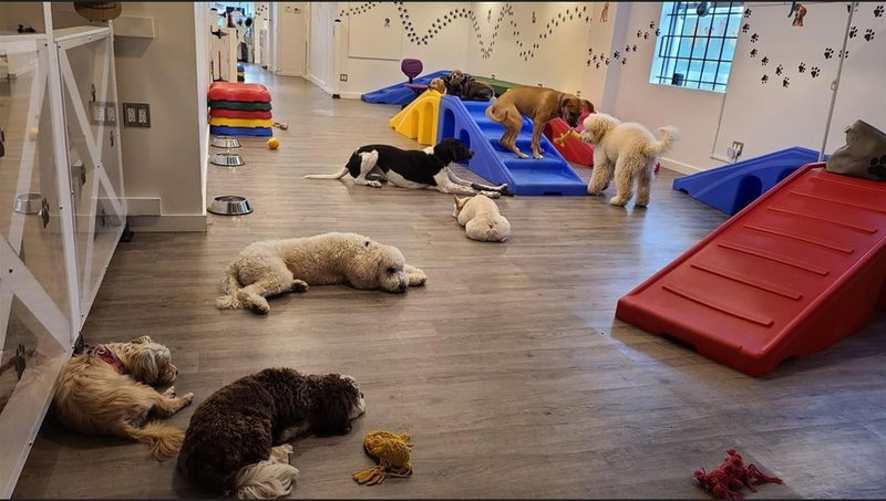 Image #1 of Business for Sale at 152, Surrey, British Columbia