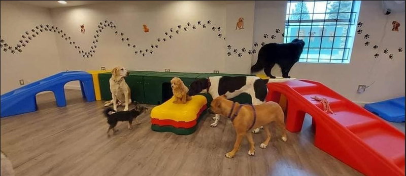 Image #1 of Business for Sale at 152, Surrey, British Columbia