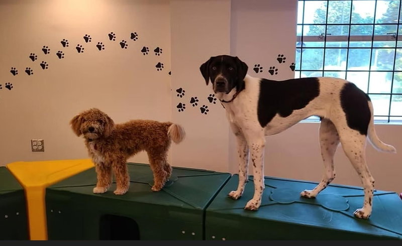 Image #1 of Business for Sale at 152, Surrey, British Columbia