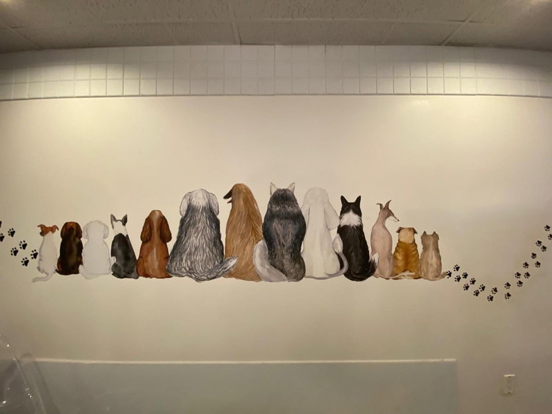 Image #1 of Business for Sale at 152, Surrey, British Columbia