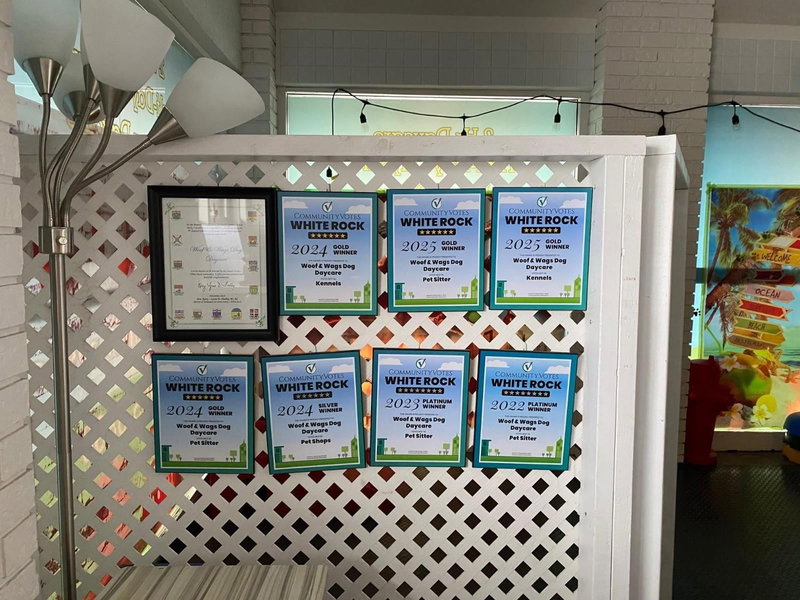 Image #1 of Business for Sale at 152, Surrey, British Columbia