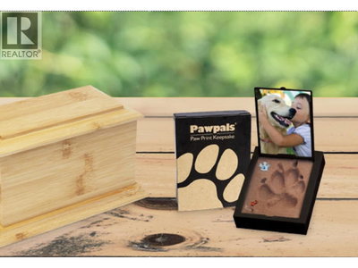 Businesses for Sale in British-columbia